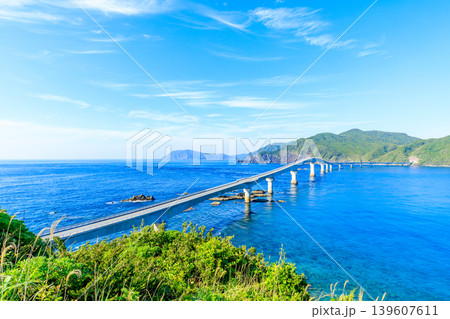 初夏の鳥ノ巣山展望所から見た甑大橋 鹿児島県薩摩川内市 初夏の鳥ノ巣山展望所から見た甑大橋 鹿児島県薩摩川内市 139607611