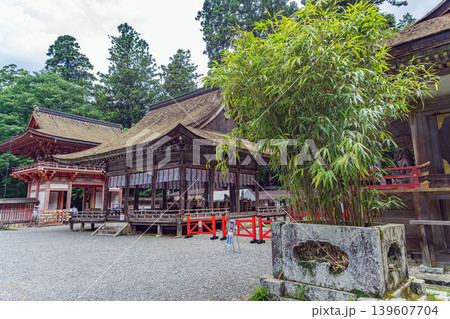 滋賀 日吉大社 西本宮の境内風景 滋賀 日吉大社 西本宮の境内風景 139607704