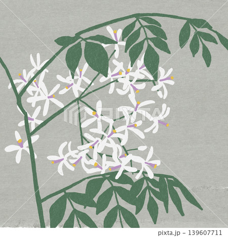 センダンの花 139607711