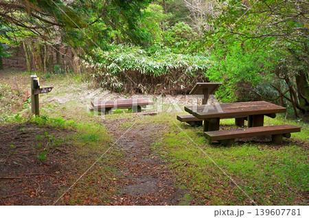 伊豆半島 伊豆山稜線歩道 船原峠の休憩所 伊豆半島 伊豆山稜線歩道 船原峠の休憩所 139607781