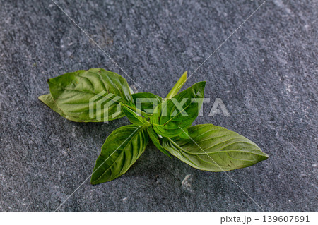 Green fresh aroma basil leaves Green fresh aroma basil leaves 139607891