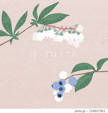 ブルーベリーの花 139607961