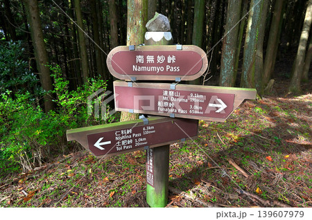 伊豆半島　伊豆山稜線歩道の南無妙峠 139607979