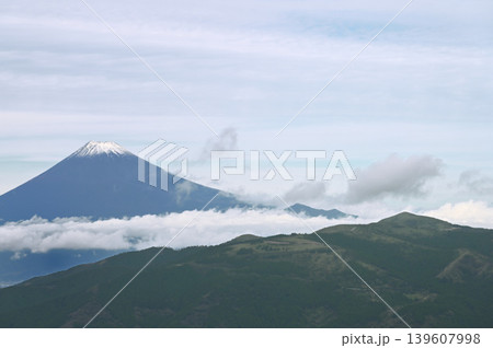 伊豆半島 伊豆山稜線歩道の魂ノ山から雪化粧した富士山と達磨山 伊豆半島 伊豆山稜線歩道の魂ノ山から雪化粧した富士山と達磨山 139607998