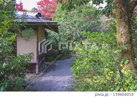 Traditional Main Hall Stands Peacefully Inside Koetsu ji Temple Garden Nov 24 2025 Traditional Main Hall Stands Peacefully Inside Koetsu ji Temple Garden Nov 24 2025 139608058