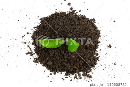 Green leaves on fertile soil isolated on white background Green leaves on fertile soil isolated on white background 139608782