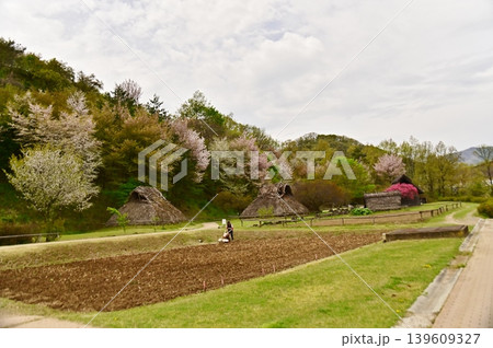 科野のムラの春の風景 139609327