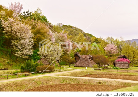 科野のムラの春の風景 139609329