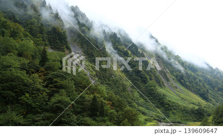 称名の滝 富山県 称名の滝 富山県 139609647