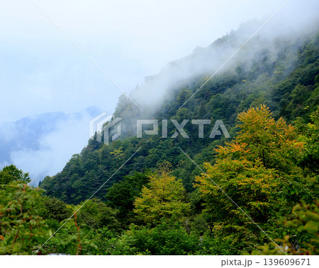 称名の滝 富山県 称名の滝 富山県 139609671