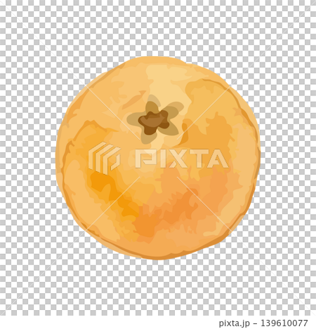 Watercolor-style illustration of a loquat Watercolor-style illustration of a loquat 139610077