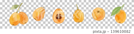 Watercolor-style illustration of a loquat 139610082