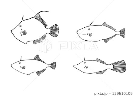 カワハギ4種セット　海水魚比較イラスト素材 139610109