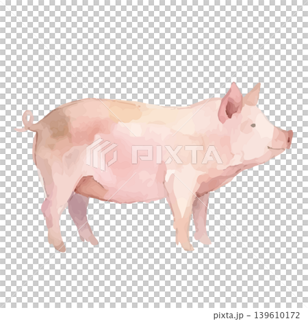 Watercolor-style pig illustration Watercolor-style pig illustration 139610172