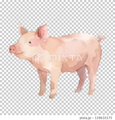 Watercolor-style pig illustration 139610175