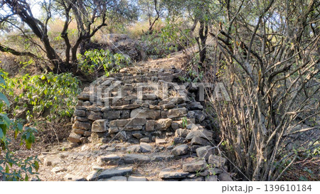 Ruined stone stairs overgrown in tilla jogian Pakistan hill ruins Ruined stone stairs overgrown in tilla jogian Pakistan hill ruins 139610184