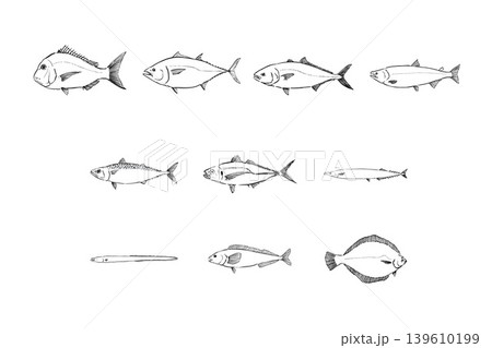 日本人が好きな魚セット 海鮮イラスト素材 日本人が好きな魚セット 海鮮イラスト素材 139610199