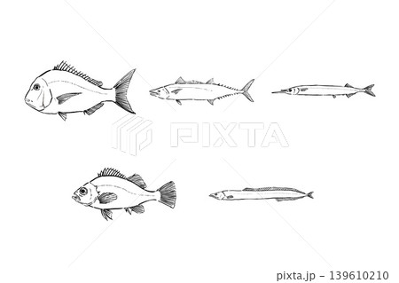 春が旬の魚セット　海鮮イラスト素材 139610210