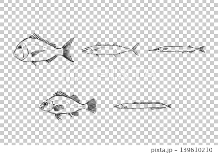 春が旬の魚セット　海鮮イラスト素材 139610210