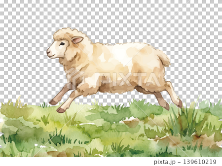Watercolor-style illustration of a sheep Watercolor-style illustration of a sheep 139610219
