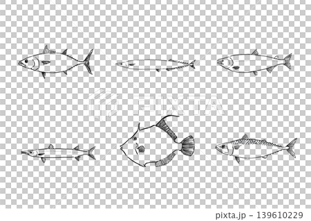 秋が旬の魚セット　海鮮イラスト素材 139610229