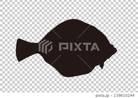 扁頭比目魚(一種海魚)的輪廓插圖 扁頭比目魚(一種海魚)的輪廓插圖 139610244