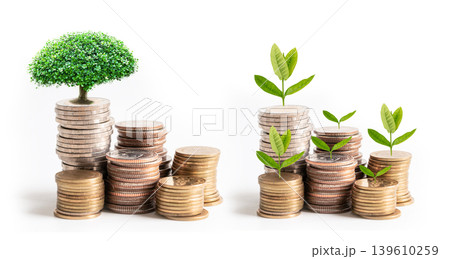 Tree plumule leaf on save money coins, Business finance saving banking investment. Tree plumule leaf on save money coins, Business finance saving banking investment. 139610259