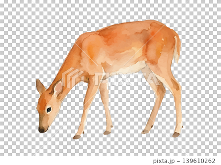 水彩風格的鹿插圖 139610262