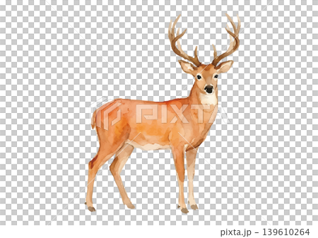 水彩風格的鹿插圖 水彩風格的鹿插圖 139610264