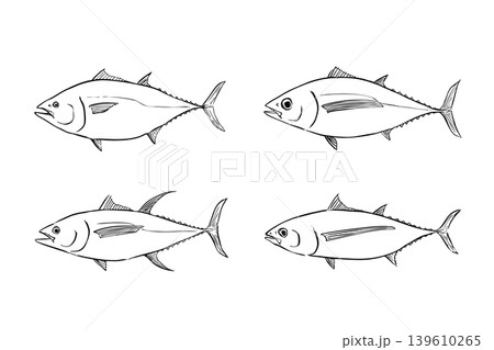 マグロ4種セット 大型回遊魚イラスト素材 マグロ4種セット 大型回遊魚イラスト素材 139610265