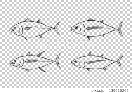 マグロ4種セット 大型回遊魚イラスト素材 マグロ4種セット 大型回遊魚イラスト素材 139610265