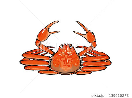 ズワイガニのイラスト 海鮮食材素材 ズワイガニのイラスト 海鮮食材素材 139610278