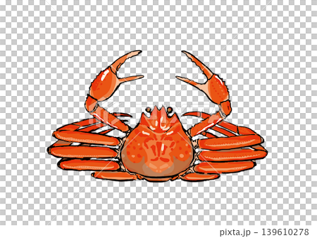 ズワイガニのイラスト 海鮮食材素材 ズワイガニのイラスト 海鮮食材素材 139610278