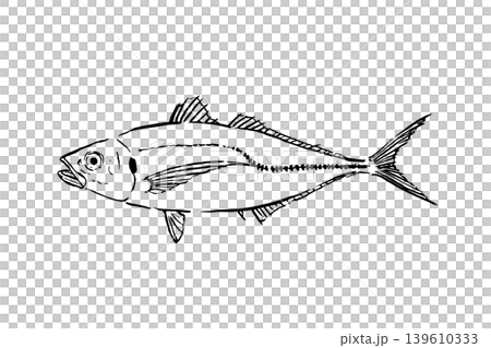 竹莢魚(海水魚材質)的線條畫插圖 竹莢魚(海水魚材質)的線條畫插圖 139610333