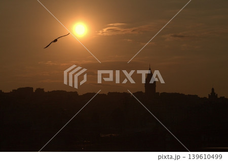 Galata Tower Sunset Silhouette with Soaring Bird. Iconic Istanbul landmark, Galata Tower, dramatically silhouetted against a fiery golden sunset. A bird flies toward the bright sun over the historic s 139610499