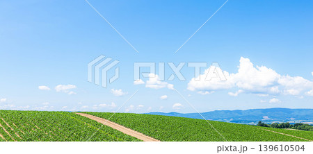 爽やかで開放感のある夏の青空の北海道美瑛町の丘の上の風景 139610504
