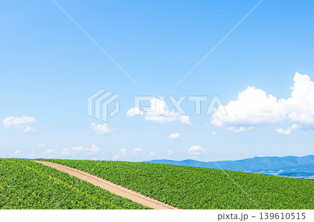 爽やかで開放感のある夏の青空の北海道美瑛町の丘の上の風景 爽やかで開放感のある夏の青空の北海道美瑛町の丘の上の風景 139610515