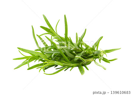 Green tarragon for cooking and seasoning, PNG Green tarragon for cooking and seasoning, PNG 139610683