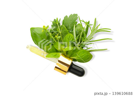Fresh herbs include mint, rosemary, oregano, and basil, PNG Fresh herbs include mint, rosemary, oregano, and basil, PNG 139610688