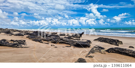 Canoa Quebrada Beach at Aracati in Ceara Brazil. Bay Coastline. Coast Travel. Vacations Landscape 139611064