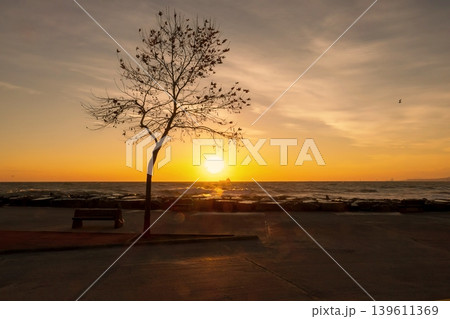 Serene seaside sunset with silhouetted tree and bench, tranquil horizon glowing in warm orange and purple tones. 139611369