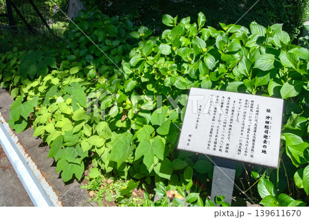 伝、沖田総司逝去の地 伝、沖田総司逝去の地 139611670