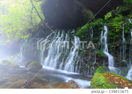 鳥海山・飛島ジオパーク　苔むす元滝伏流水の風景 139611675