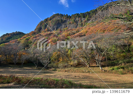 紅葉の屏風岩公苑(奈良県宇陀郡曽爾村) 紅葉の屏風岩公苑(奈良県宇陀郡曽爾村) 139611679