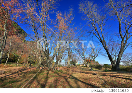 紅葉の屏風岩公苑（奈良県宇陀郡曽爾村） 139611680