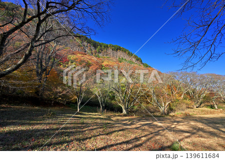 紅葉の屏風岩公苑（奈良県宇陀郡曽爾村） 139611684