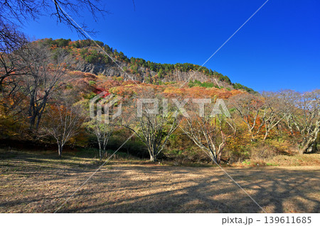 紅葉の屏風岩公苑(奈良県宇陀郡曽爾村) 紅葉の屏風岩公苑(奈良県宇陀郡曽爾村) 139611685