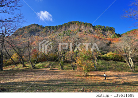 紅葉の屏風岩公苑（奈良県宇陀郡曽爾村） 139611689