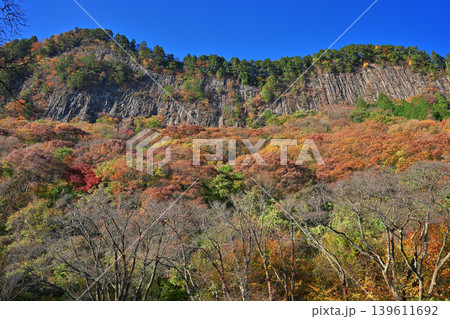 紅葉の屏風岩公苑（奈良県宇陀郡曽爾村） 139611692