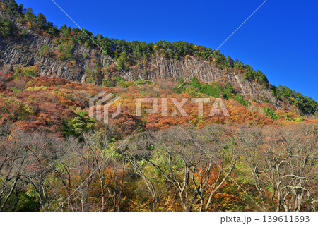 紅葉の屏風岩公苑（奈良県宇陀郡曽爾村） 139611693